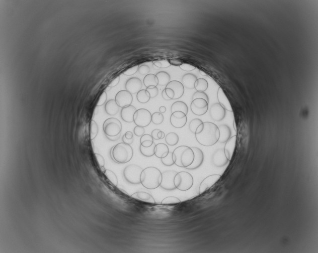 X0000115640474200912221314