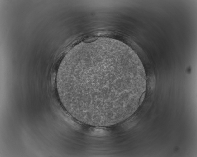 X0000115640475200912221314