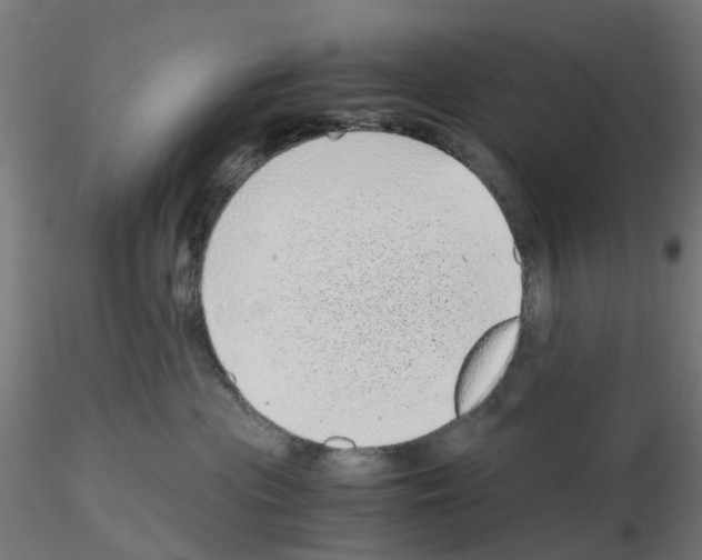 X0000115640477200912221314
