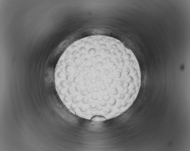 X0000115640478200912221314