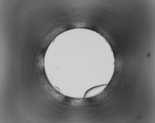 X0000115640479200912221314