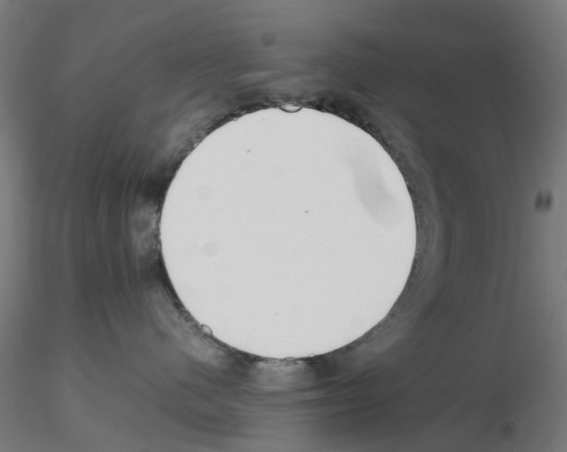 X0000115640480200912221314