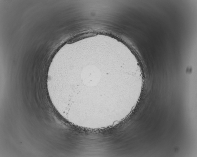 X0000115640481200912221313