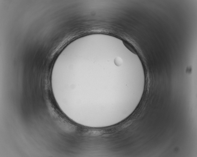 X0000115640482200912221313