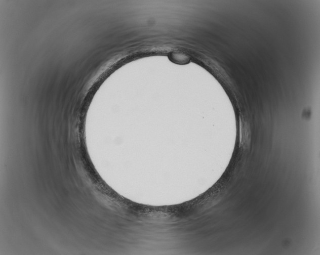 X0000115640483200912221313