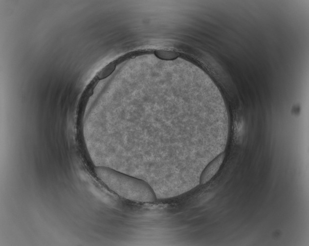 X0000115640484200912221313