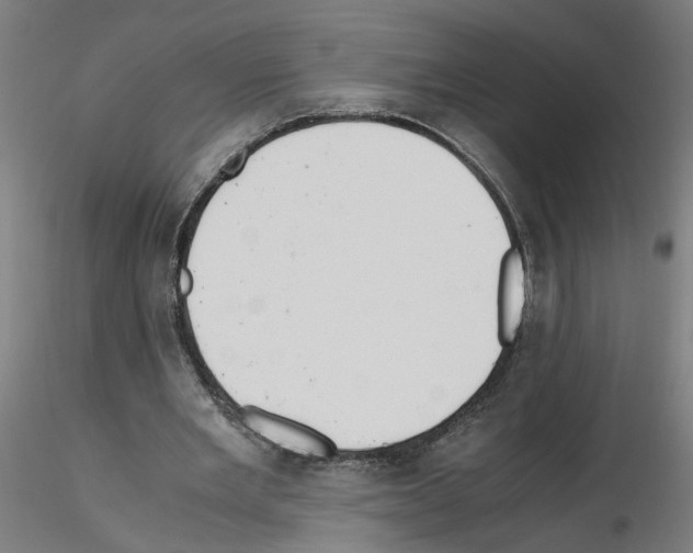 X0000115640485200912221313