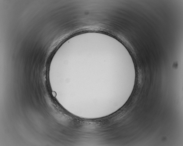 X0000115640486200912221313