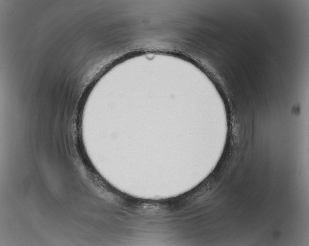 X0000115640487200912221313