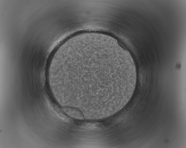 X0000115640488200912221313