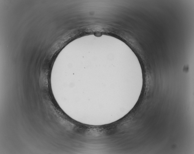 X0000115640489200912221313