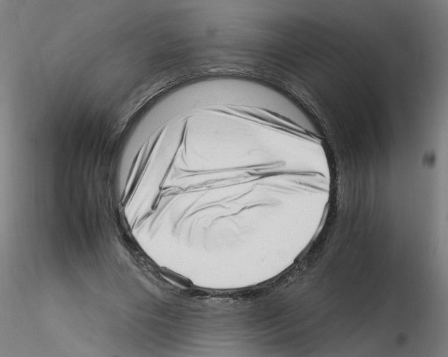 X0000115640490200912221313