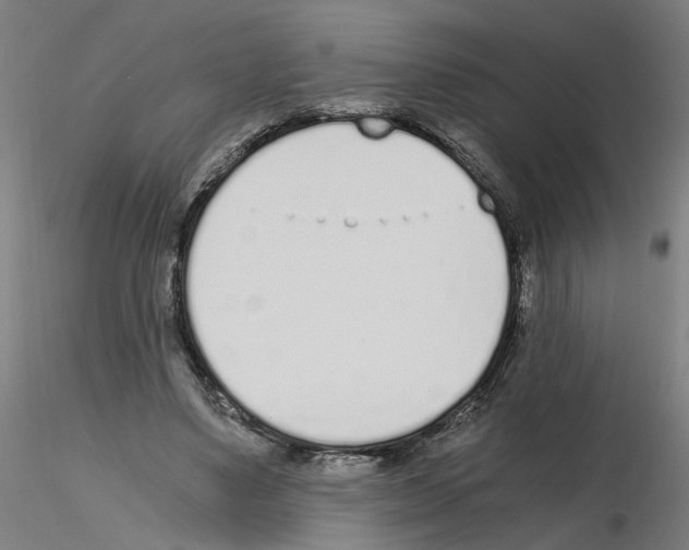 X0000115640491200912221313
