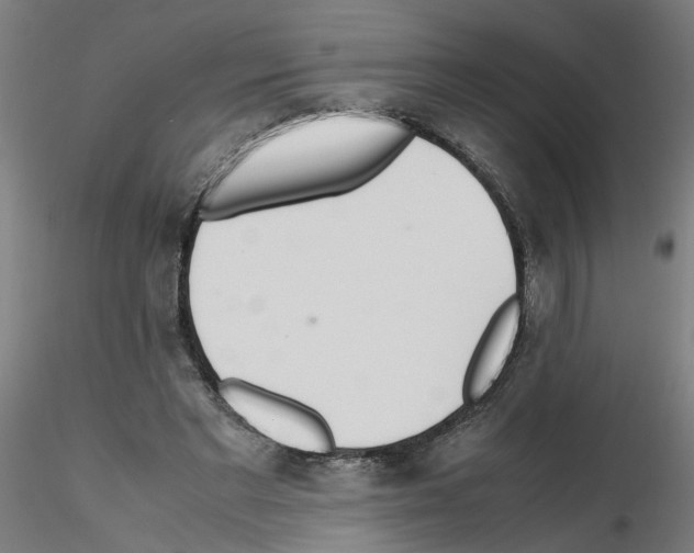 X0000115640493200912221313