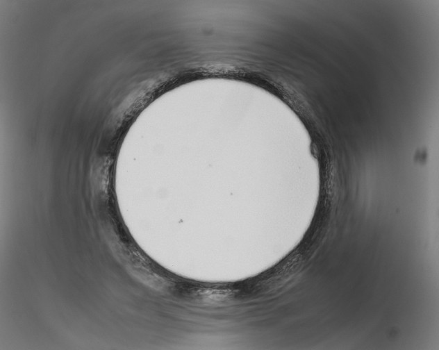 X0000115640495200912221313