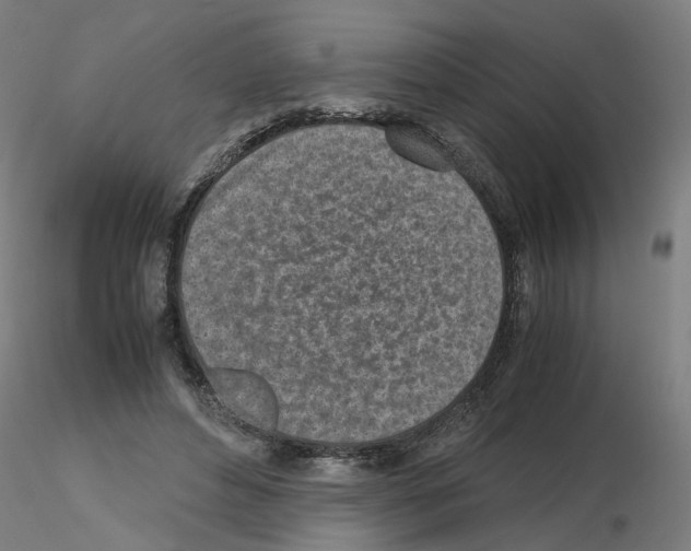 X0000115640496200912221313