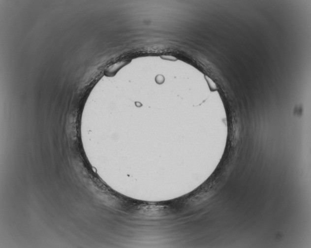 X0000115640497200912221313