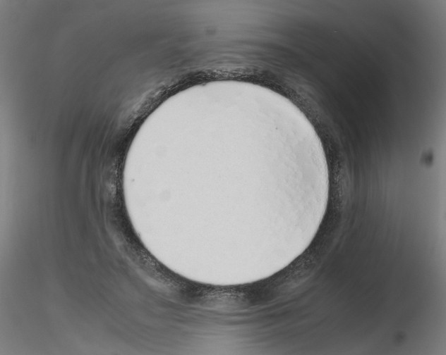 X0000115640499200912221313