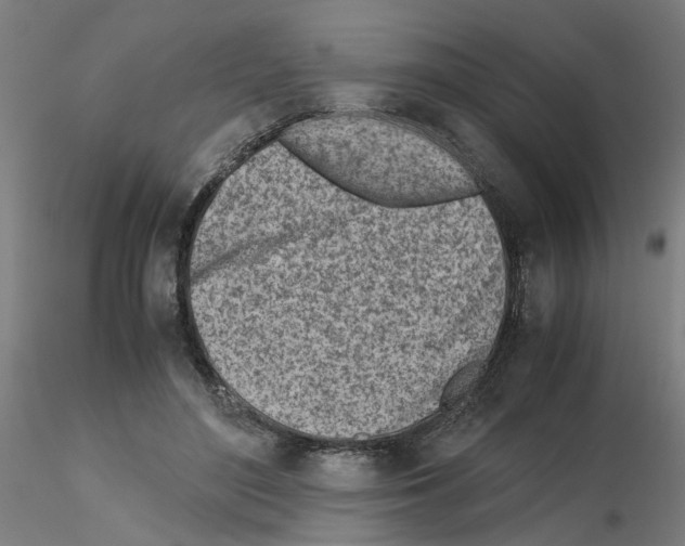 X0000115640500200912221313
