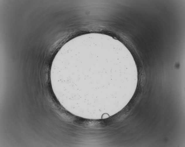 X0000115640501200912221313