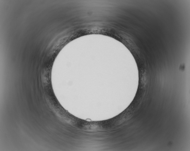X0000115640503200912221313