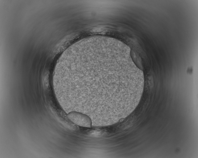 X0000115640504200912221313