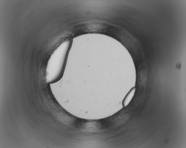 X0000115640505200912221313