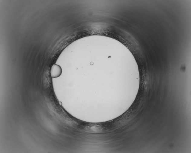 X0000115640506200912221313