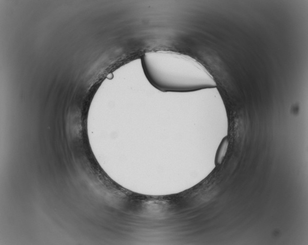 X0000115640508200912221313