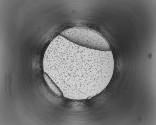 X0000115640512200912221313