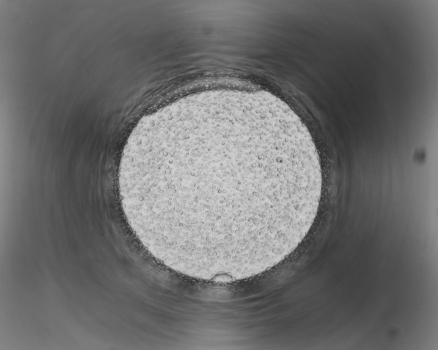 X0000115640513200912221313