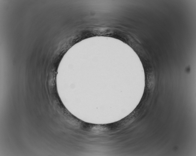 X0000115640515200912221313