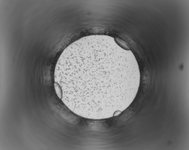 X0000115640516200912221313
