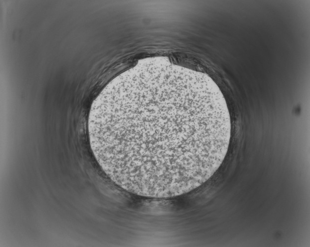 X0000115640517200912221313