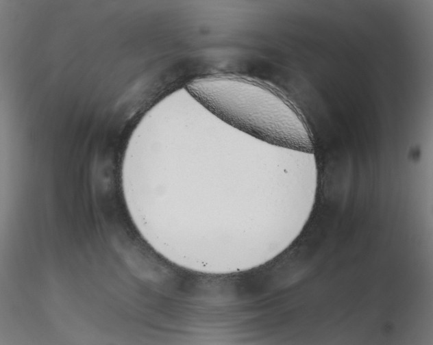 X0000115640520200912221313