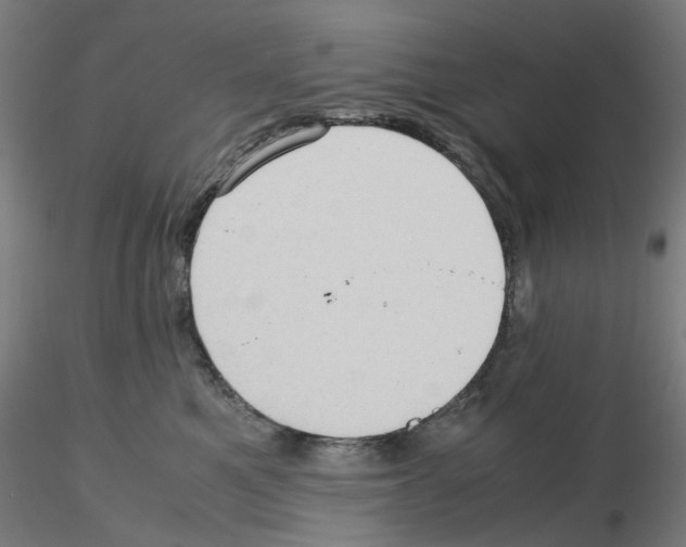 X0000115640521200912221313