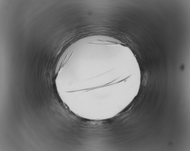 X0000115640524200912221313
