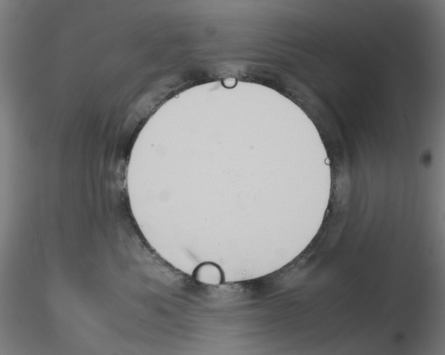 X0000115640525200912221313