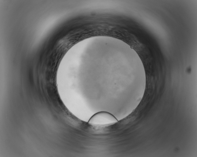 X0000115640526200912221313