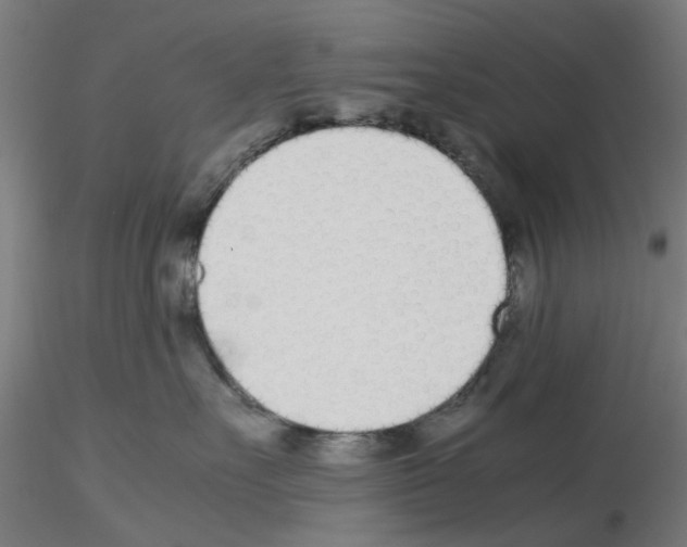 X0000115640527200912221313