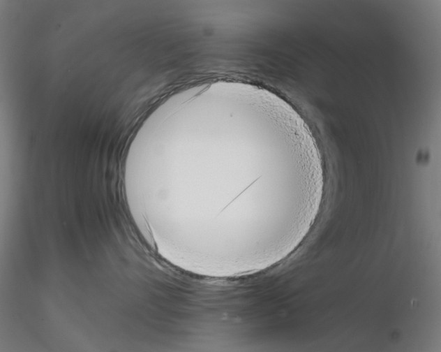 X0000115640528200912221313