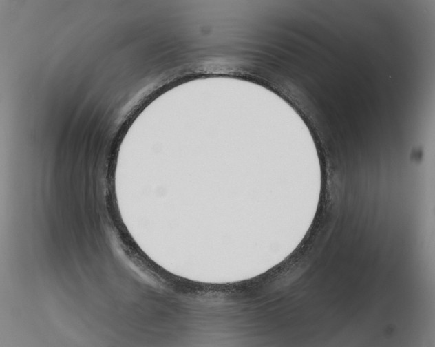 X0000115640530200912221312