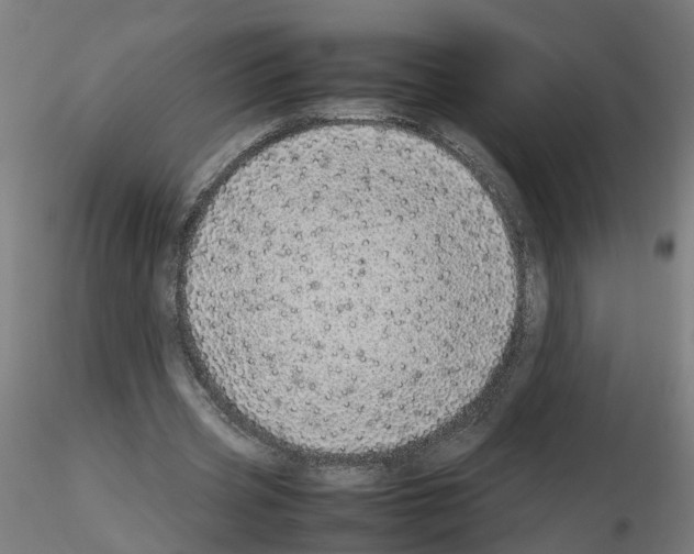 X0000115640533200912221312