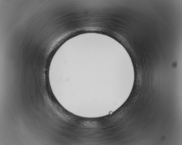 X0000115640535200912221312