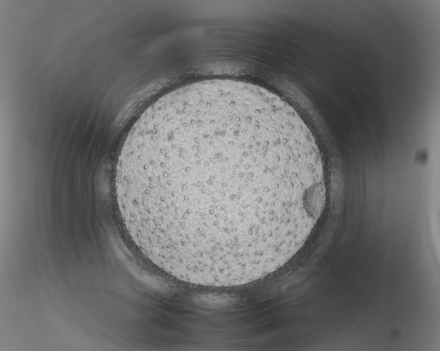 X0000115640537200912221312