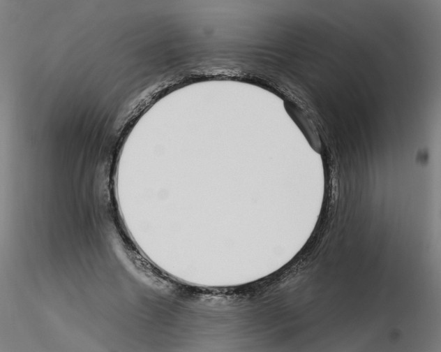 X0000115640538200912221312