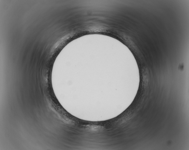 X0000115640539200912221312