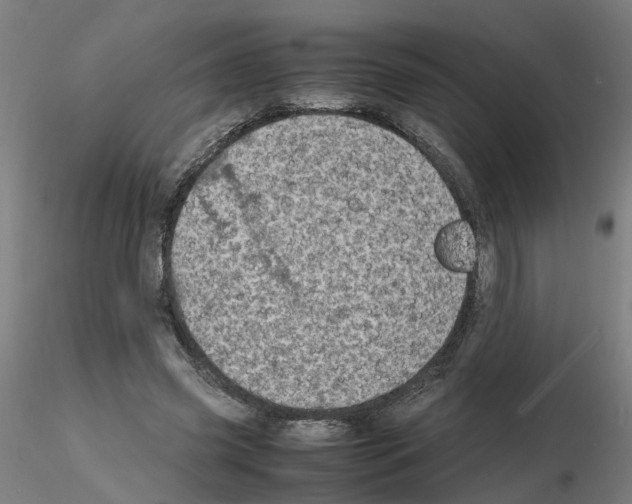 X0000115640541200912221312