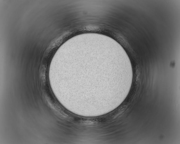 X0000115640542200912221312