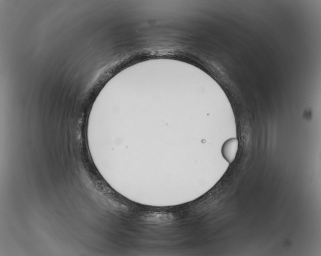 X0000115640543200912221312